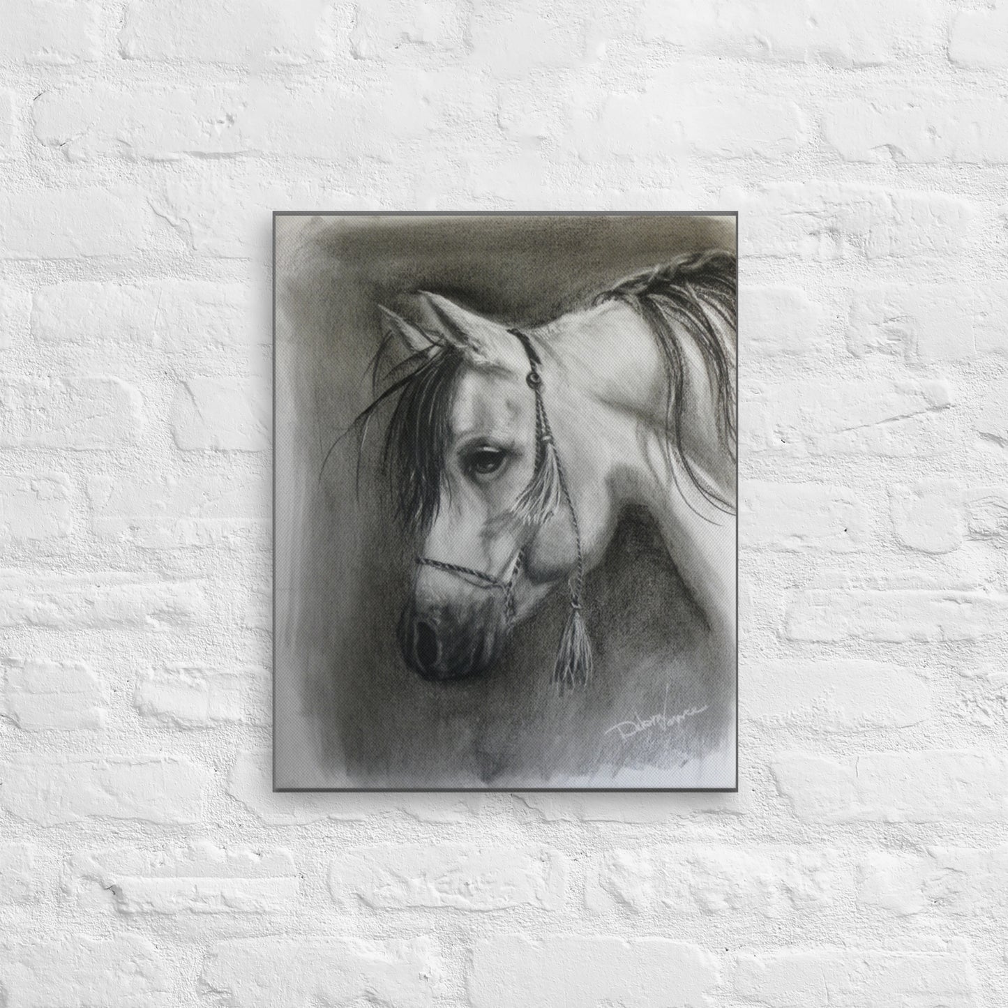 Equine in Charcoal - 20 x 16 Canvas